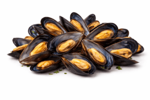 Mussels(Norm.)